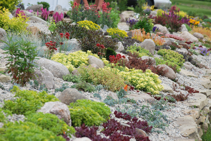 Our New SunSparkler® Sedum Rock Garden | SunSparkler® Sedums